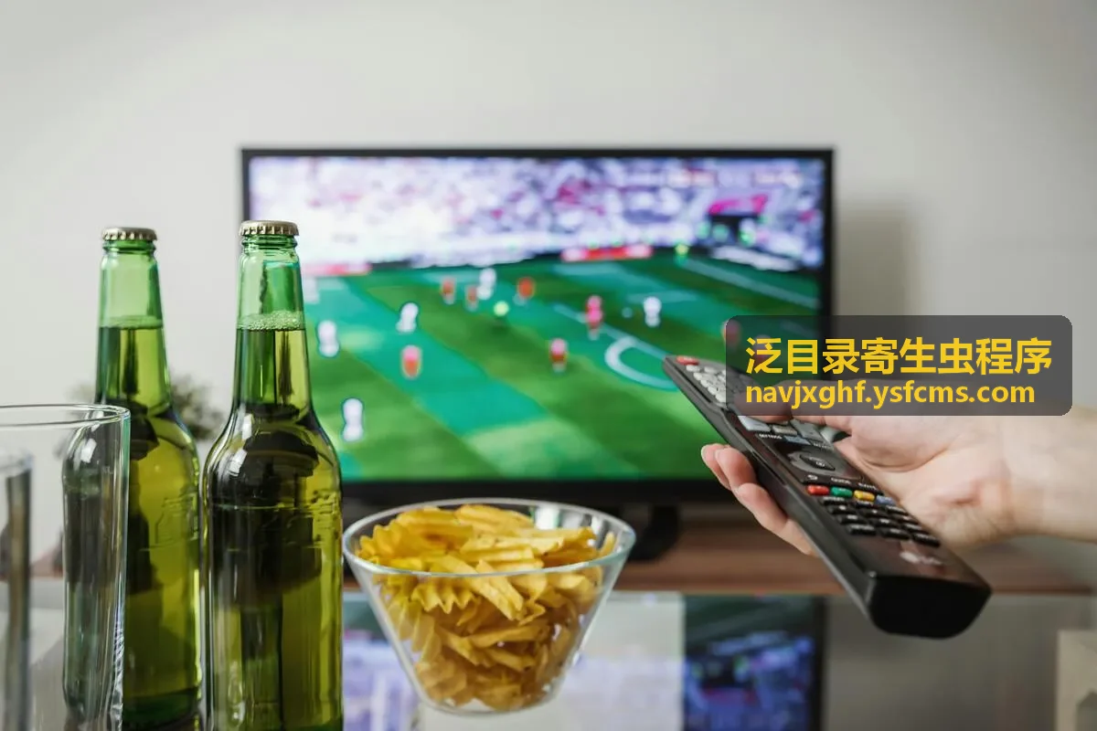 泛目录mip异常目录检查示意